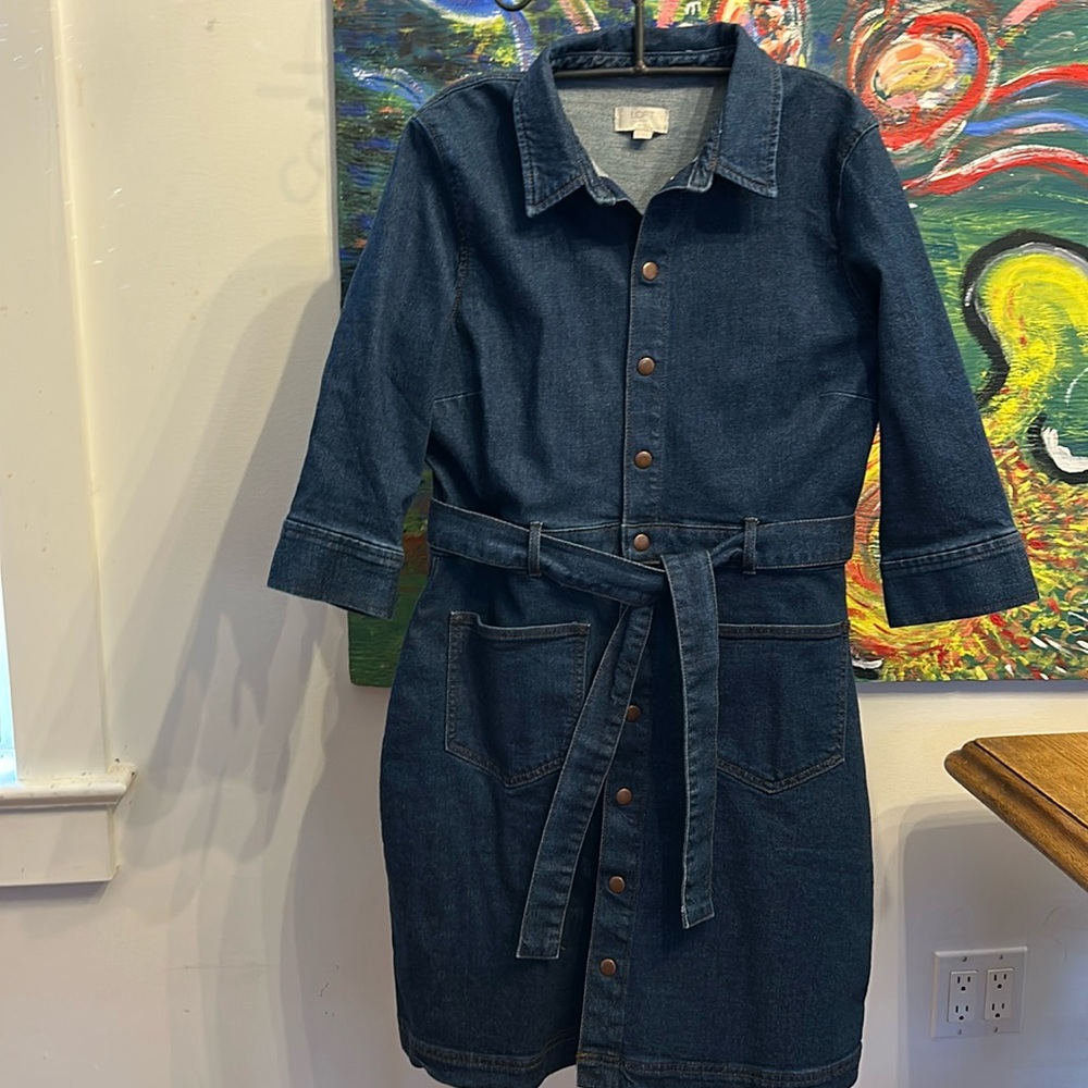 Loft Denim Dress in 12p